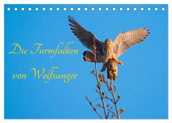 Die Turmfalken von Wolfsanger (Tischkalender 2025 DIN A5 quer), CALVENDO Monatskalender