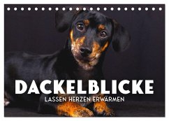 Dackelblicke - Lassen Herzen erwärmen. (Tischkalender 2025 DIN A5 quer), CALVENDO Monatskalender - Calvendo;SF