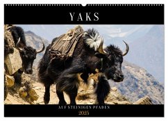 Yaks - auf steinigen Pfaden (Wandkalender 2025 DIN A2 quer), CALVENDO Monatskalender
