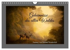 Geheimnisse des alten Waldes (Wandkalender 2025 DIN A4 quer), CALVENDO Monatskalender - Calvendo