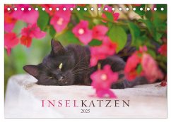 Inselkatzen (Tischkalender 2025 DIN A5 quer), CALVENDO Monatskalender - Calvendo;Krutz, Christina