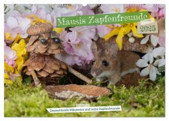 Mausis Zapfenfreunde (Wandkalender 2025 DIN A2 quer), CALVENDO Monatskalender