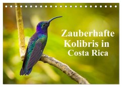 Zauberhafte Kolibris in Costa Rica (Tischkalender 2025 DIN A5 quer), CALVENDO Monatskalender