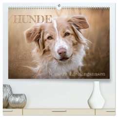 Hunde - Unsere Lieblingsnasen (hochwertiger Premium Wandkalender 2025 DIN A2 quer), Kunstdruck in Hochglanz