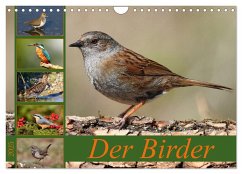 Der Birder (Wandkalender 2025 DIN A4 quer), CALVENDO Monatskalender