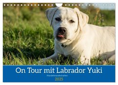 On Tour mit Labrador Yuki (Wandkalender 2025 DIN A4 quer), CALVENDO Monatskalender
