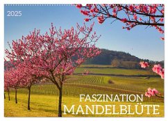 FASZINATION MANDELBLÜTE (Wandkalender 2025 DIN A2 quer), CALVENDO Monatskalender - Calvendo;Fillinger, Sulamay