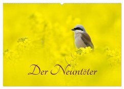 Der Neuntöter (Wandkalender 2025 DIN A2 quer), CALVENDO Monatskalender