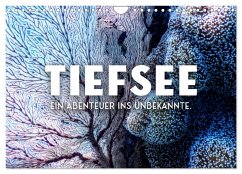 Tiefsee - Ein Abenteuer ins Unbekannte. (Wandkalender 2025 DIN A4 quer), CALVENDO Monatskalender - Calvendo;SF