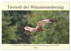 Tierwelt der Wümmeniederung (Wandkalender 2025 DIN A2 quer), CALVENDO Monatskalender - Calvendo;Siebert, Jens