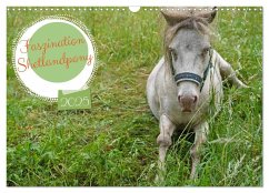 Faszination Shetlandpony (Wandkalender 2025 DIN A3 quer), CALVENDO Monatskalender