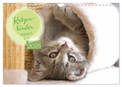 Katzenkinder - zauberhafte Wesen (Wandkalender 2025 DIN A4 quer), CALVENDO Monatskalender - Calvendo;Merk, Angela