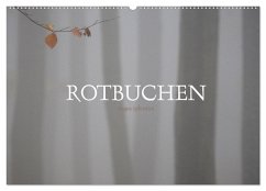 Rotbuchen (Wandkalender 2025 DIN A2 quer), CALVENDO Monatskalender