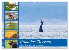 Kanadas Tierwelt - Bären, Wale und vieles mehr (Wandkalender 2025 DIN A2 quer), CALVENDO Monatskalender
