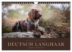 Passion Jagdhund - Deutsch Langhaar (Wandkalender 2025 DIN A4 quer), CALVENDO Monatskalender