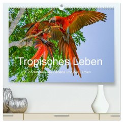 Tropisches Leben Ein Paradies des Lebens und der Farben (hochwertiger Premium Wandkalender 2025 DIN A2 quer), Kunstdruck in Hochglanz