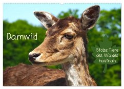 Damwild - stolze Tiere des Waldes hautnah (Wandkalender 2025 DIN A2 quer), CALVENDO Monatskalender - Calvendo;Meyer - Stimmungsbilder1, Marion