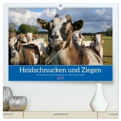 Heidschnucken und Ziegen die tierischen Landschaftspfleger der Lüneburger Heide (hochwertiger Premium Wandkalender 2025 DIN A2 quer), Kunstdruck in Hochglanz