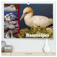 Faszination Basstölpel (hochwertiger Premium Wandkalender 2025 DIN A2 quer), Kunstdruck in Hochglanz