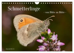 Schmetterlinge - von Blüte zu Blüte - (Wandkalender 2025 DIN A4 quer), CALVENDO Monatskalender
