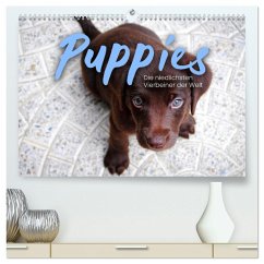 Puppies - Die niedlichsten Vierbeiner der Welt. (hochwertiger Premium Wandkalender 2025 DIN A2 quer), Kunstdruck in Hochglanz - Calvendo;SF