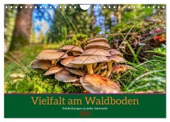 Vielfalt am Waldboden (Wandkalender 2025 DIN A4 quer), CALVENDO Monatskalender