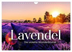 Lavendel - Die violette Wunderblume (Wandkalender 2025 DIN A4 quer), CALVENDO Monatskalender
