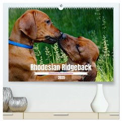 Rhodesian Ridgeback, Charmante Herzensbrecher (hochwertiger Premium Wandkalender 2025 DIN A2 quer), Kunstdruck in Hochglanz