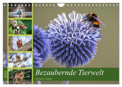 Bezaubernde Tierwelt in freier Natur (Wandkalender 2025 DIN A4 quer), CALVENDO Monatskalender - Calvendo;Assfalg Photographie, Thorsten