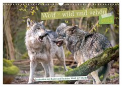 Wolf - wild und schön (Wandkalender 2025 DIN A3 quer), CALVENDO Monatskalender - Calvendo;Riedel, Tanja