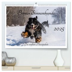 Berner Sennenhunde - Die sanften Powerpakete (hochwertiger Premium Wandkalender 2025 DIN A2 quer), Kunstdruck in Hochglanz