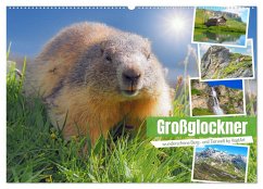 Großglockner wunderschöne Berg- und Tierwelt (Wandkalender 2025 DIN A2 quer), CALVENDO Monatskalender
