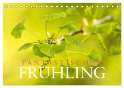 Fantastischer Frühling (Tischkalender 2025 DIN A5 quer), CALVENDO Monatskalender