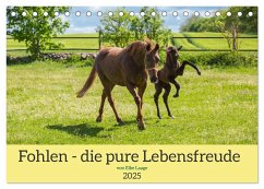 Fohlen - die pure Lebensfreude (Tischkalender 2025 DIN A5 quer), CALVENDO Monatskalender