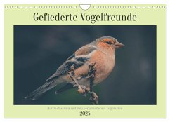 Gefiederte Vogelfreunde (Wandkalender 2025 DIN A4 quer), CALVENDO Monatskalender
