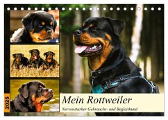 Mein Rottweiler. Nervenstarker Gebrauchs- und Begleithund (Tischkalender 2025 DIN A5 quer), CALVENDO Monatskalender