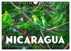 Nicaragua - Impressionen von Land und Tierwelt. (Wandkalender 2025 DIN A4 quer), CALVENDO Monatskalender - Calvendo;SF
