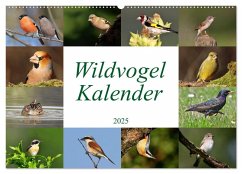 Wildvogelkalender (Wandkalender 2025 DIN A2 quer), CALVENDO Monatskalender - Calvendo;Bucher, Leo