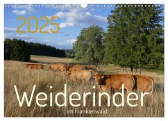 Weiderinder im Frankenwald (Wandkalender 2025 DIN A3 quer), CALVENDO Monatskalender