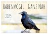 Rabenvögel - ganz nah (Wandkalender... - Bild 1