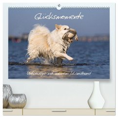 Glücksmomente - Unterwegs mit meinem Islandhund (hochwertiger Premium Wandkalender 2025 DIN A2 quer), Kunstdruck in Hochglanz