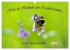 Wenn die Hummeln zum naschen kommen, ist dein Garten perfekt (Wandkalender 2025 DIN A3 quer), CALVENDO Monatskalender - Calvendo;Junghanns, Konstanze