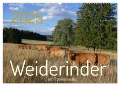 Weiderinder im Frankenwald (Wandkalender 2025 DIN A2 quer), CALVENDO Monatskalender - Calvendo;Kelle-Dingel, Cordula