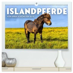 Islandpferde - Von ihrer schönsten Seite (hochwertiger Premium Wandkalender 2025 DIN A2 quer), Kunstdruck in Hochglanz - Calvendo;SF