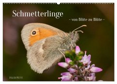 Schmetterlinge - von Blüte zu Blüte - (Wandkalender 2025 DIN A2 quer), CALVENDO Monatskalender