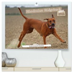 Rhodesian Ridgeback - Ausdrucksstarke Gesichter (hochwertiger Premium Wandkalender 2025 DIN A2 quer), Kunstdruck in Hochglanz