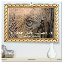 Augenblicke aus Afrika (hochwertiger Premium Wandkalender 2025 DIN A2 quer), Kunstdruck in Hochglanz