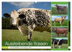 Aussterbende Rassen und Raritäten (Wandkalender 2025 DIN A2 quer), CALVENDO Monatskalender - Calvendo;Renné, Heidi