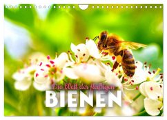 Die Welt der fleißigen Bienen (Wandkalender 2025 DIN A4 quer), CALVENDO Monatskalender - Calvendo;Monkey, Happy