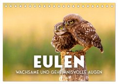 Eulen - Wachsame und geheimnisvolle Augen (Tischkalender 2025 DIN A5 quer), CALVENDO Monatskalender